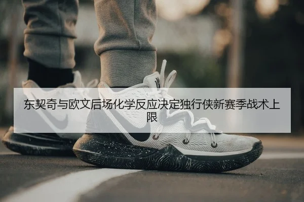 东契奇与欧文后场化学反应决定独行侠新赛季战术上限