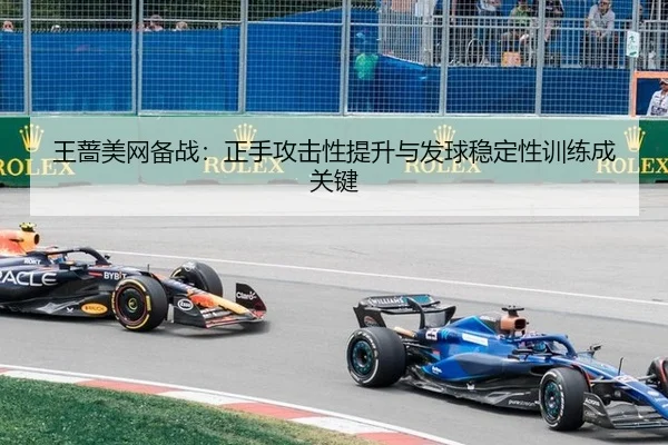 wang-qiang-mei-wang-bei-zhan-zheng-shou-gong-ji-xing-ti-sheng-yu-fa-qiu-wen-ding-xing-xun-lian-cheng-guan-jian-2-424.jpg